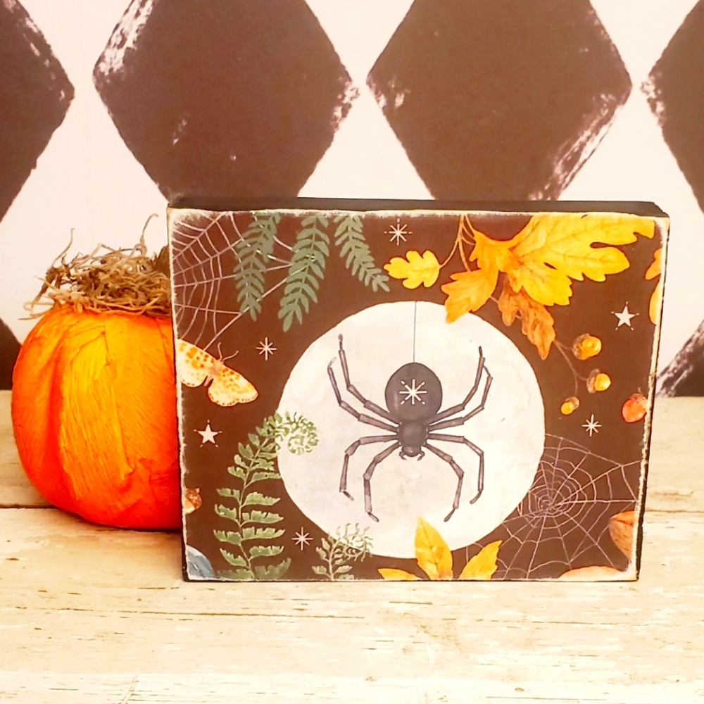 🆕️Halloween Spider Block Decor